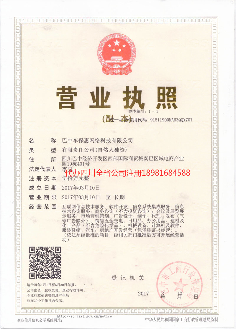 巫山巫山车保惠网络科技有限公司
